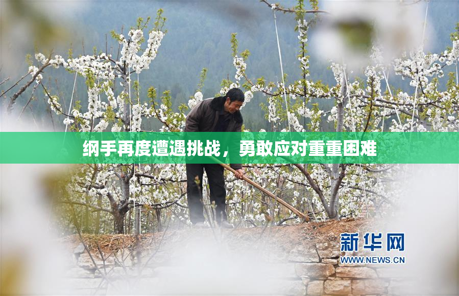 纲手再度遭遇挑战，勇敢应对重重困难