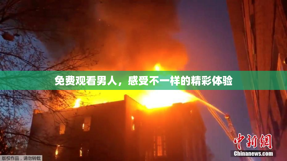 免费观看男人，感受不一样的精彩体验