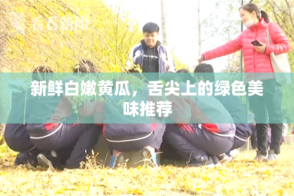 新鲜白嫩黄瓜，舌尖上的绿色美味推荐