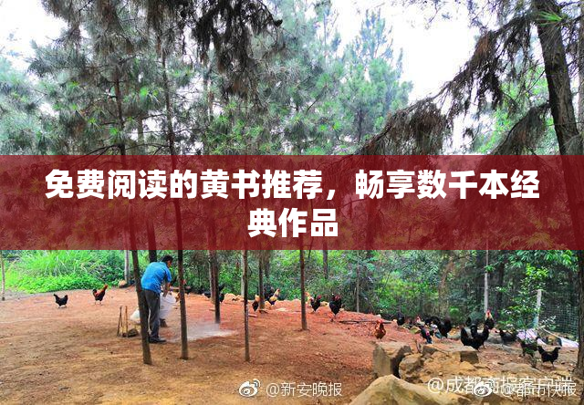 免费阅读的黄书推荐，畅享数千本经典作品
