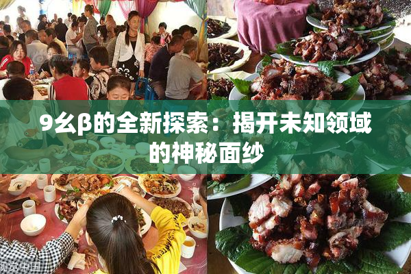9幺β的全新探索：揭开未知领域的神秘面纱