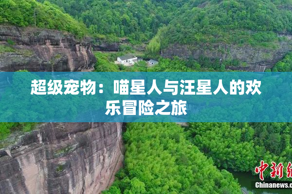 超级宠物：喵星人与汪星人的欢乐冒险之旅