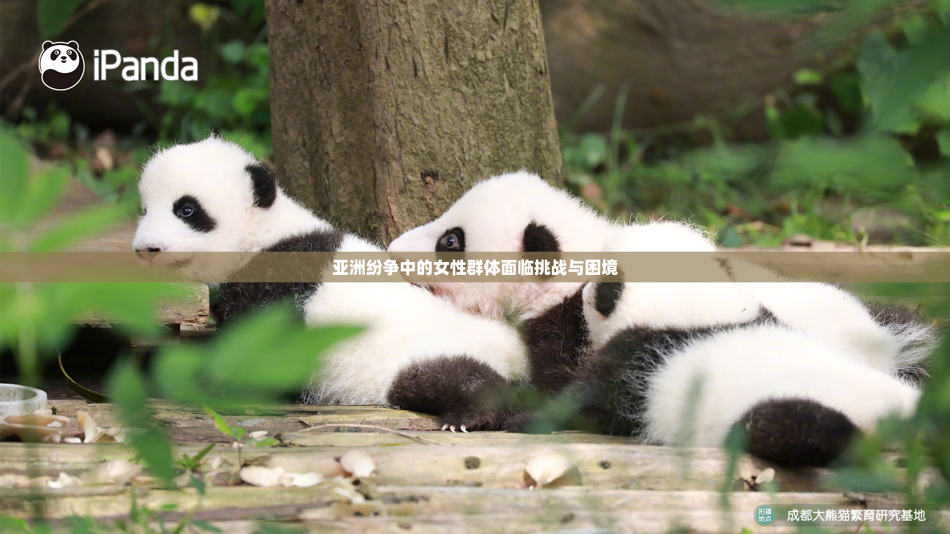 亚洲纷争中的女性群体面临挑战与困境