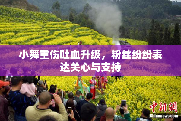 小舞重伤吐血升级，粉丝纷纷表达关心与支持