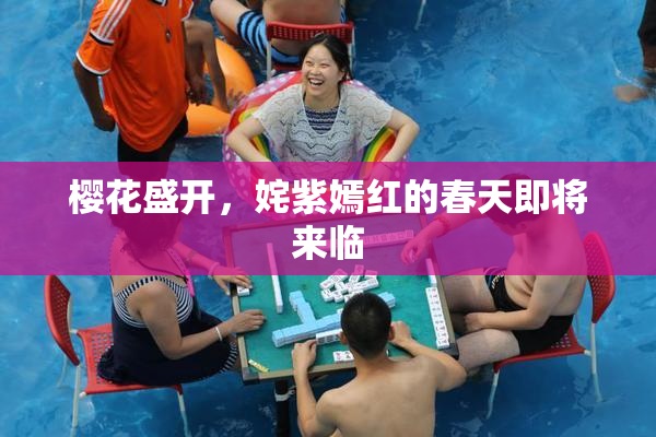 樱花盛开，姹紫嫣红的春天即将来临