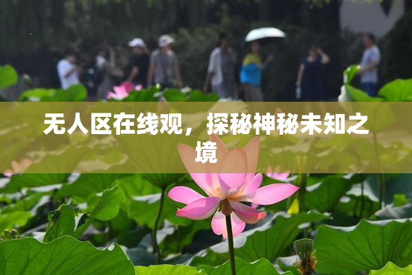 无人区在线观，探秘神秘未知之境