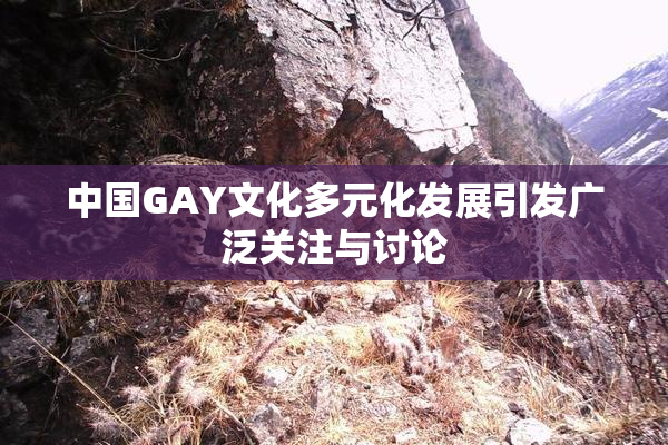 中国GAY文化多元化发展引发广泛关注与讨论