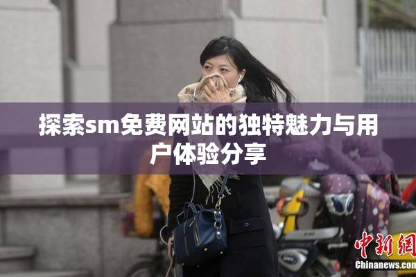 探索sm免费网站的独特魅力与用户体验分享