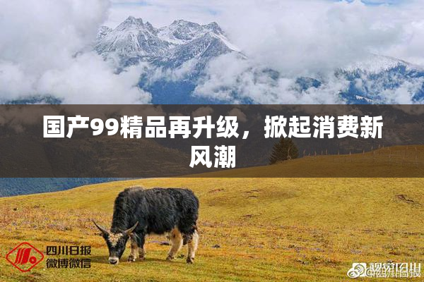 国产99精品再升级，掀起消费新风潮
