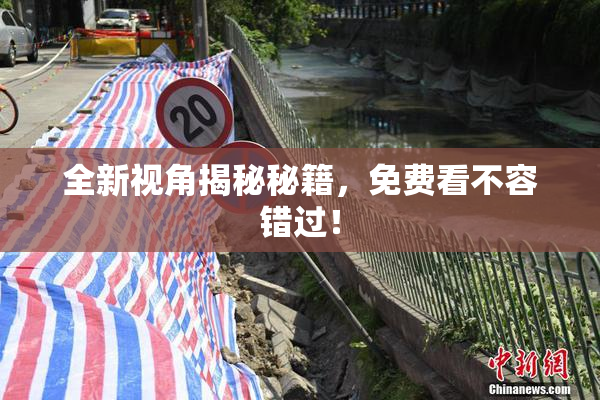 全新视角揭秘秘籍，免费看不容错过！