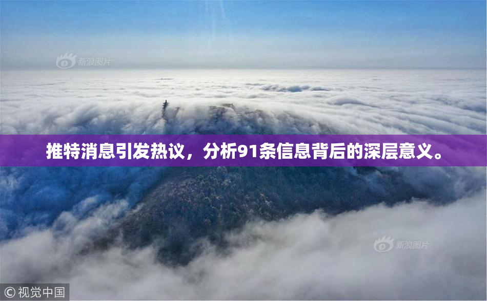 推特消息引发热议，分析91条信息背后的深层意义。