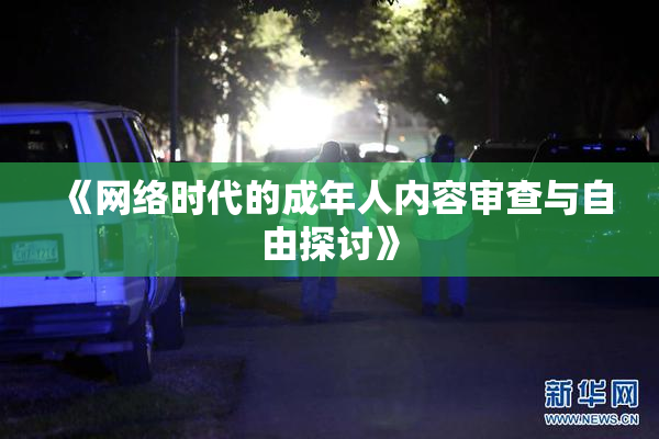 《网络时代的成年人内容审查与自由探讨》