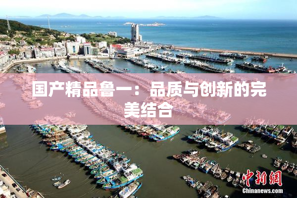 国产精品鲁一：品质与创新的完美结合