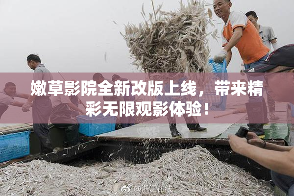 嫩草影院全新改版上线，带来精彩无限观影体验！