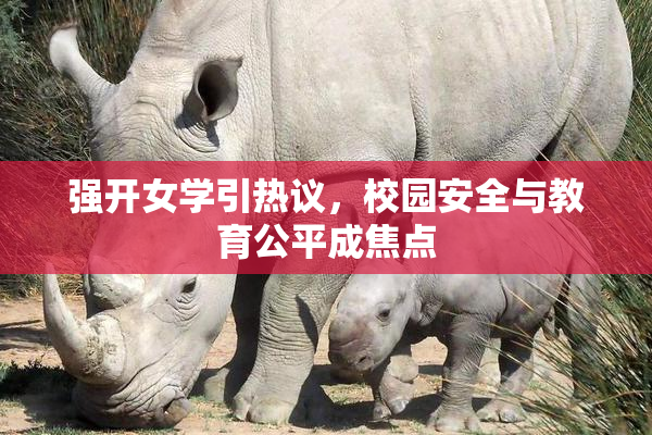 强开女学引热议，校园安全与教育公平成焦点
