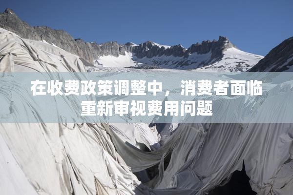 在收费政策调整中，消费者面临重新审视费用问题