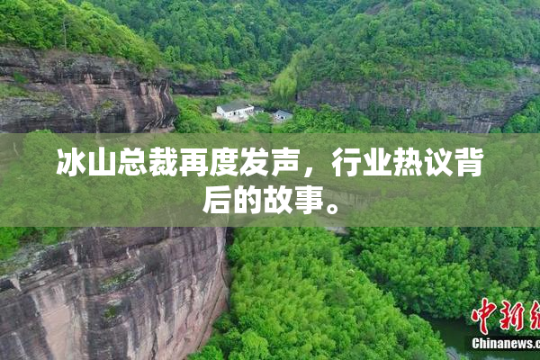 冰山总裁再度发声，行业热议背后的故事。
