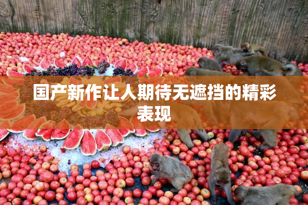 国产新作让人期待无遮挡的精彩表现