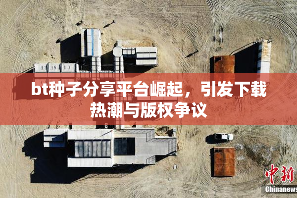 bt种子分享平台崛起，引发下载热潮与版权争议