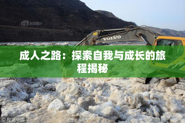 成人之路：探索自我与成长的旅程揭秘