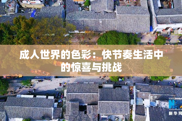 成人世界的色彩：快节奏生活中的惊喜与挑战