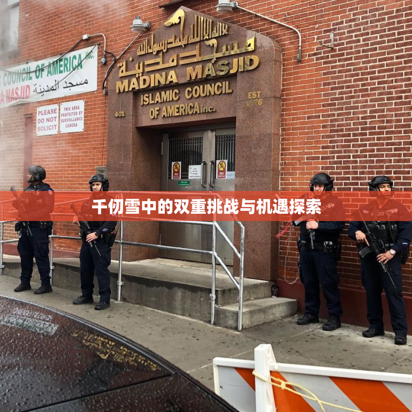千仞雪中的双重挑战与机遇探索