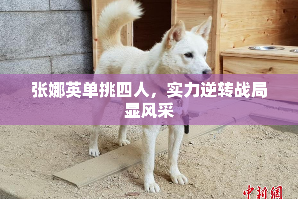 张娜英单挑四人，实力逆转战局显风采
