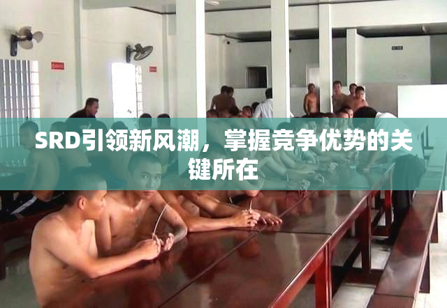 SRD引领新风潮，掌握竞争优势的关键所在