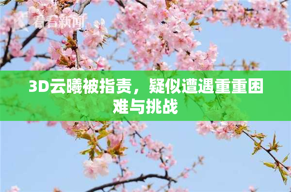 3D云曦被指责，疑似遭遇重重困难与挑战