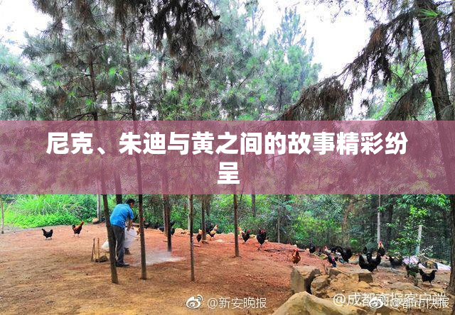尼克、朱迪与黄之间的故事精彩纷呈