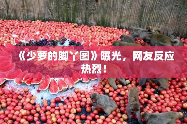 《少萝的脚丫图》曝光，网友反应热烈！