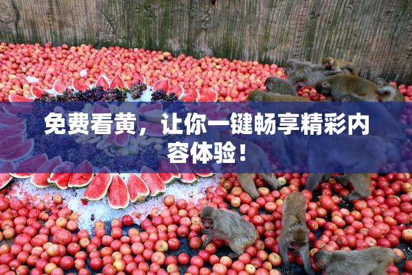 免费看黄，让你一键畅享精彩内容体验！