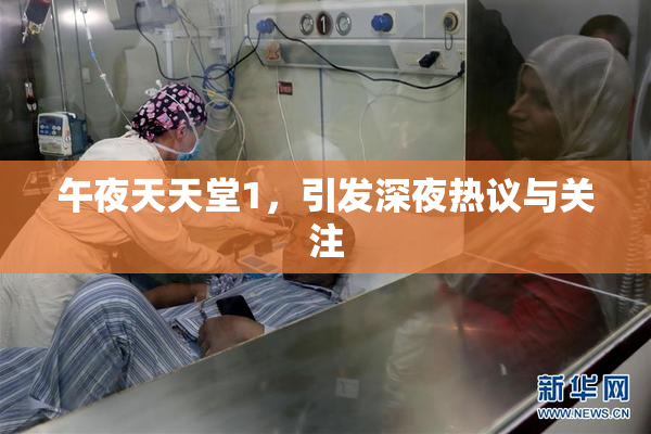 午夜天天堂1，引发深夜热议与关注