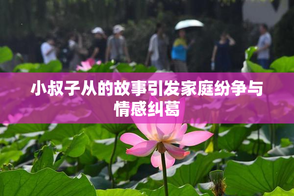 小叔子从的故事引发家庭纷争与情感纠葛