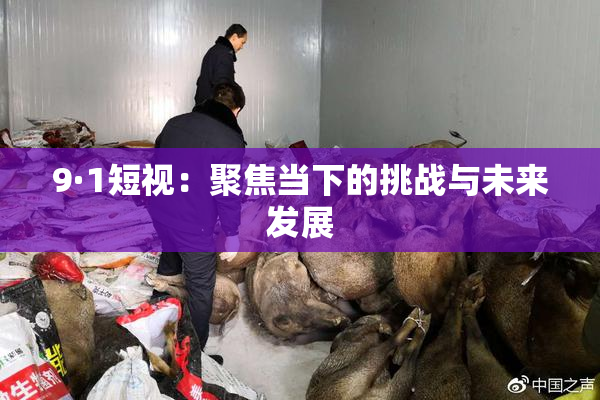 9·1短视：聚焦当下的挑战与未来发展