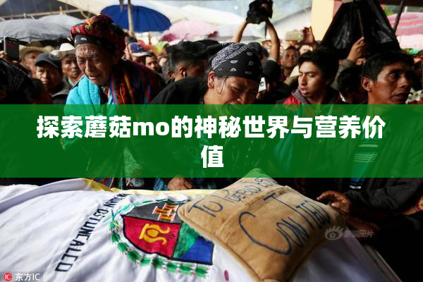 探索蘑菇mo的神秘世界与营养价值