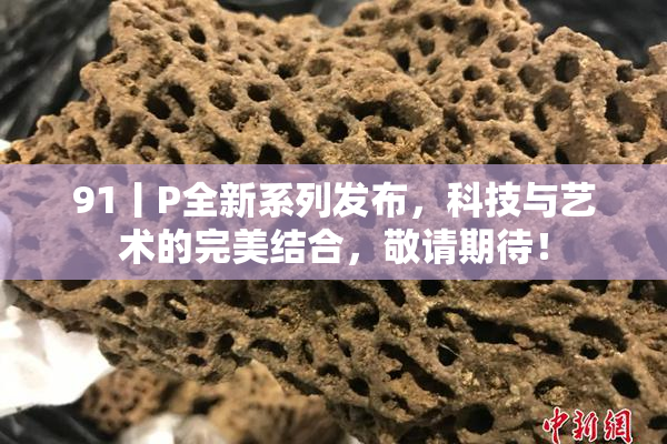 91丨P全新系列发布，科技与艺术的完美结合，敬请期待！