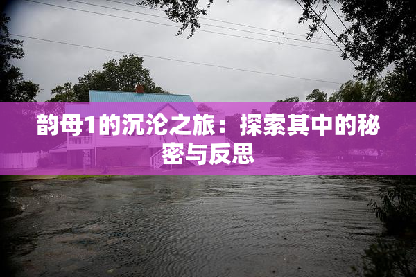 韵母1的沉沦之旅：探索其中的秘密与反思