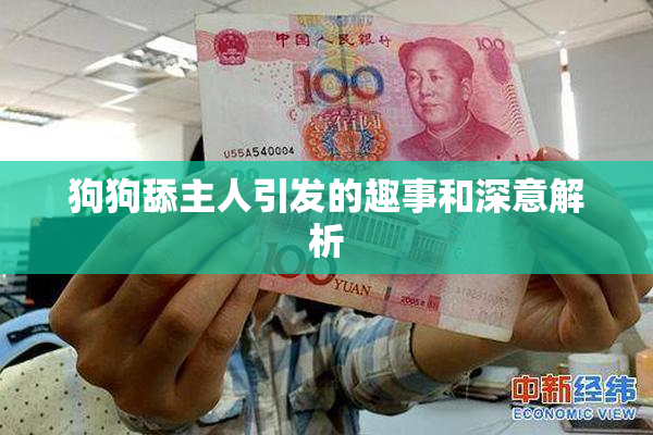 狗狗舔主人引发的趣事和深意解析