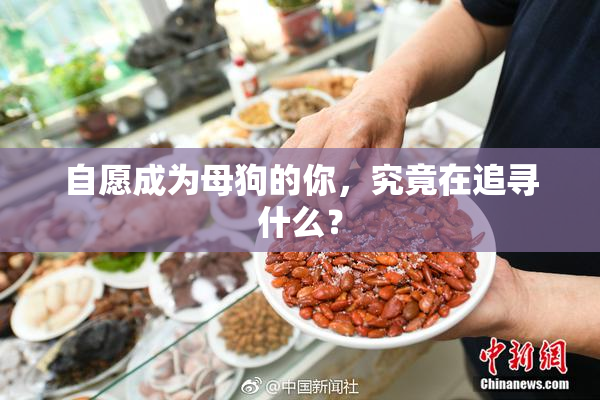 自愿成为母狗的你，究竟在追寻什么？