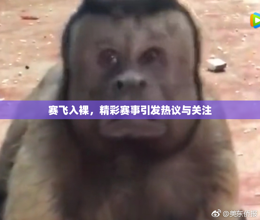 赛飞入裸，精彩赛事引发热议与关注