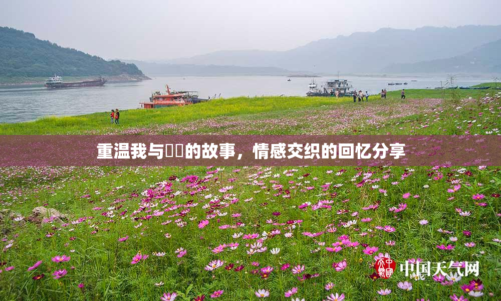 重温我与妺妺的故事，情感交织的回忆分享