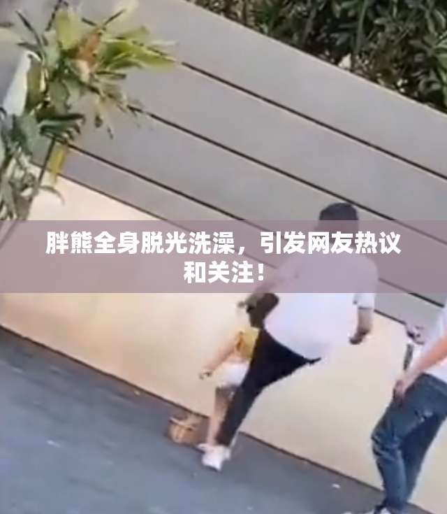 胖熊全身脱光洗澡，引发网友热议和关注！