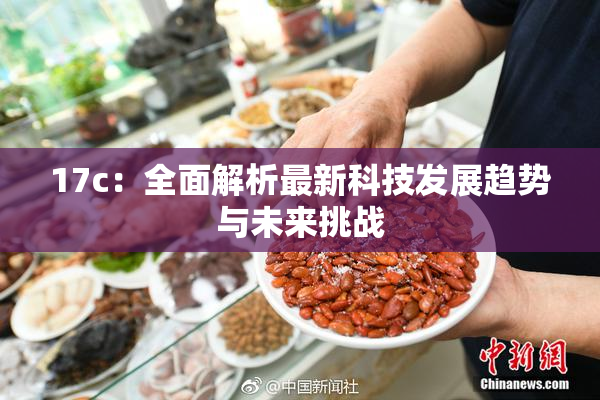 17c：全面解析最新科技发展趋势与未来挑战