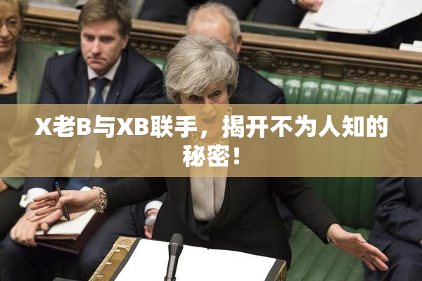 X老B与XB联手，揭开不为人知的秘密！