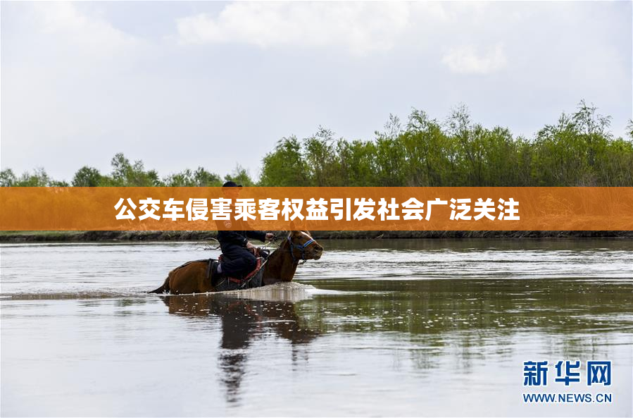 公交车侵害乘客权益引发社会广泛关注