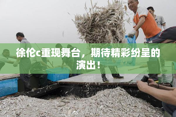 徐伦c重现舞台，期待精彩纷呈的演出！