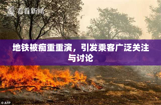 地铁被痴重重演，引发乘客广泛关注与讨论