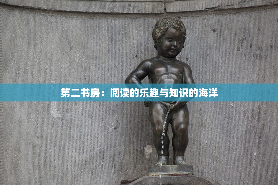 第二书房：阅读的乐趣与知识的海洋