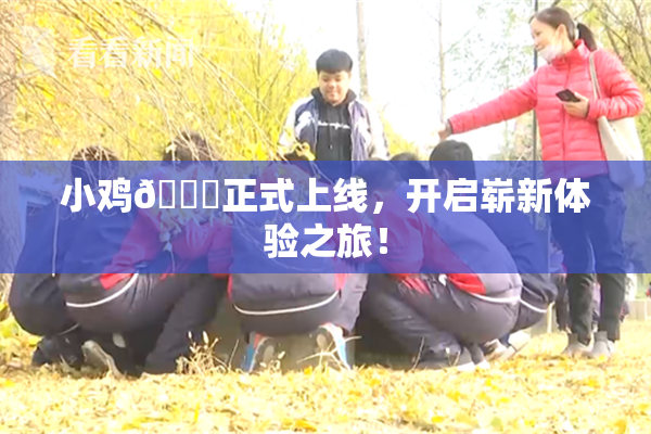 小鸡🐔正式上线，开启崭新体验之旅！